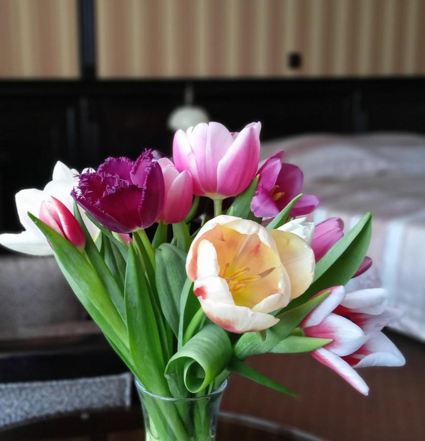 Hotel Attache Kyiv